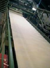 desenrollo del chopo